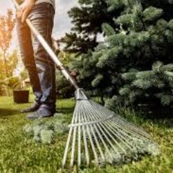 أفضل شركة تنظيف مزارع وحدائق بالرياض